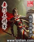 妻乃上将军这本书好看吗