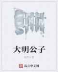 大明公子沉淀图