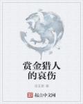 赏金猎人效果是什么