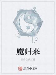 我从低魔世界归来