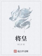 将皇入门编