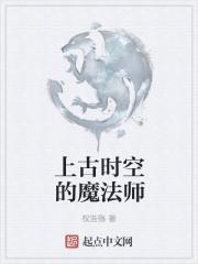 上古世纪魔法师的疑心