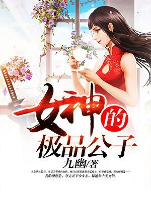 女神的极品公子完整版