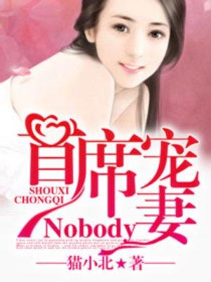 首席宠妻nobody听书