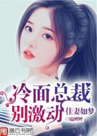 宠妻似火冷面总裁别乱来