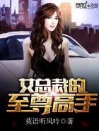 女总裁的至尊高手完整版