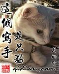 这个写手是只猫英语