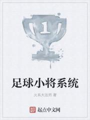 足球小将系列游戏