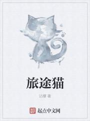 老猫猫在旅途