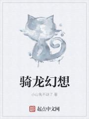 幻龙骑士什么职业好