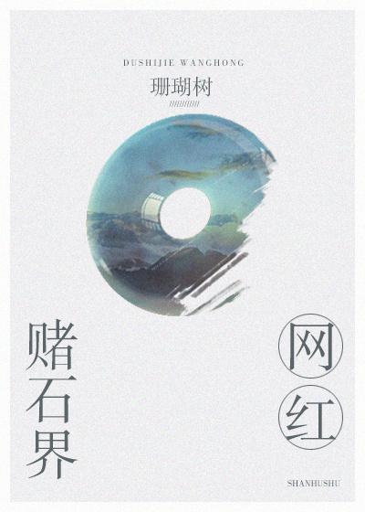 赌石界网红20