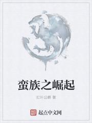 蛮族之崛起无删减版