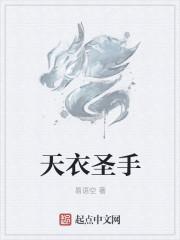 天衣圣手又叫什么名字