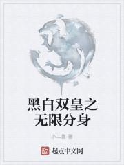 黑白无双之系统