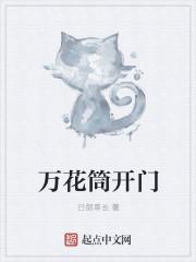 万花筒猫