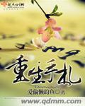 大大的重生手札