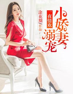 一夜欢情四胞胎军婚叫什么