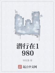 我在1982有个家 全金属弹壳