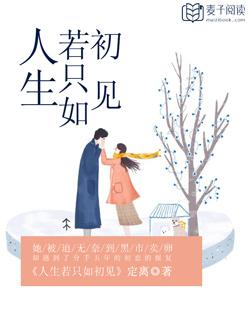 人生若只如初见梅子黄时雨txt