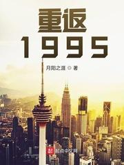 重返1995游戏