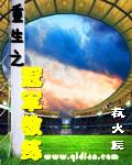 重生之冠军教练顶点