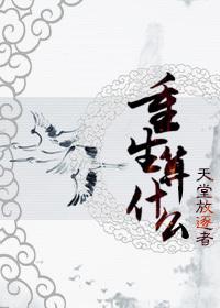 重生算什么by