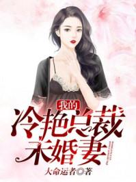 我的冷艳总裁未婚妻沈浪