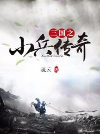 三国之小兵传奇刘岩txt