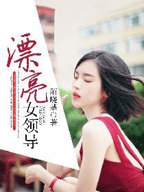 攀上漂亮女领导免费阅读