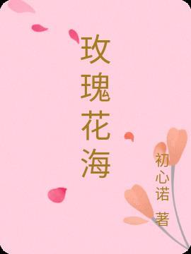 玫瑰花海视频唯美