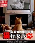 猫行天下是什么意思