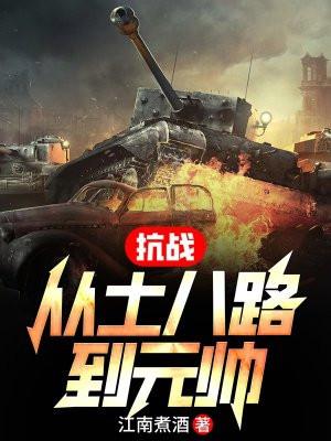 抗战从土八路到元帅笔趣阁无牌