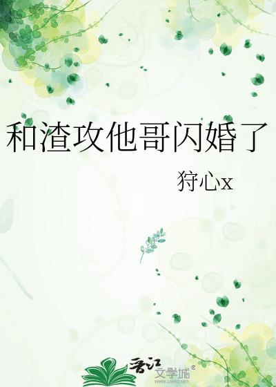 和渣攻他哥闪婚了免费阅读