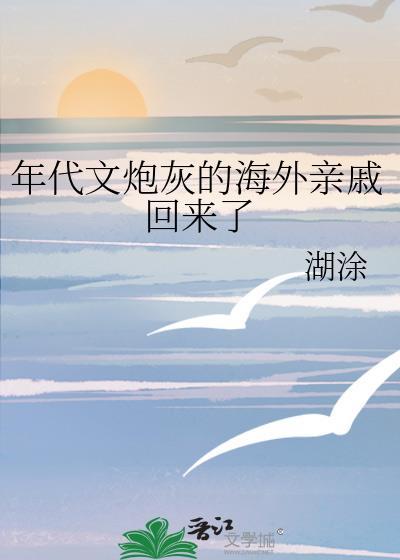 年代文炮灰的海外亲戚回来了湖涂