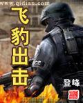 飞豹出击精校无错版