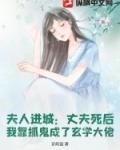 夫人走了打一个字谜