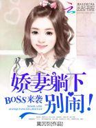 boss来袭娇妻躺下别闹无弹窗