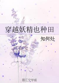 穿越妖精种植手册