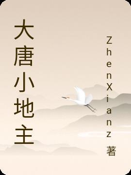 大唐小地主